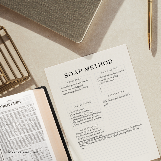 SOAP Method Worksheet (Digital File)