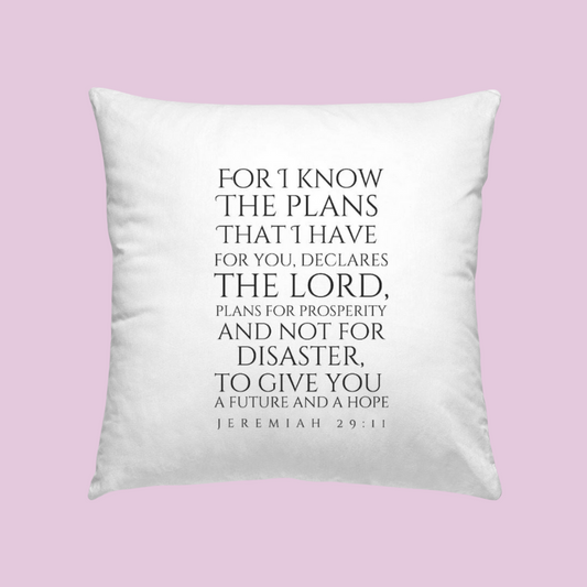 I Know The Plans Artisan Pillow Case 18 Inch (Insert Not Included)
